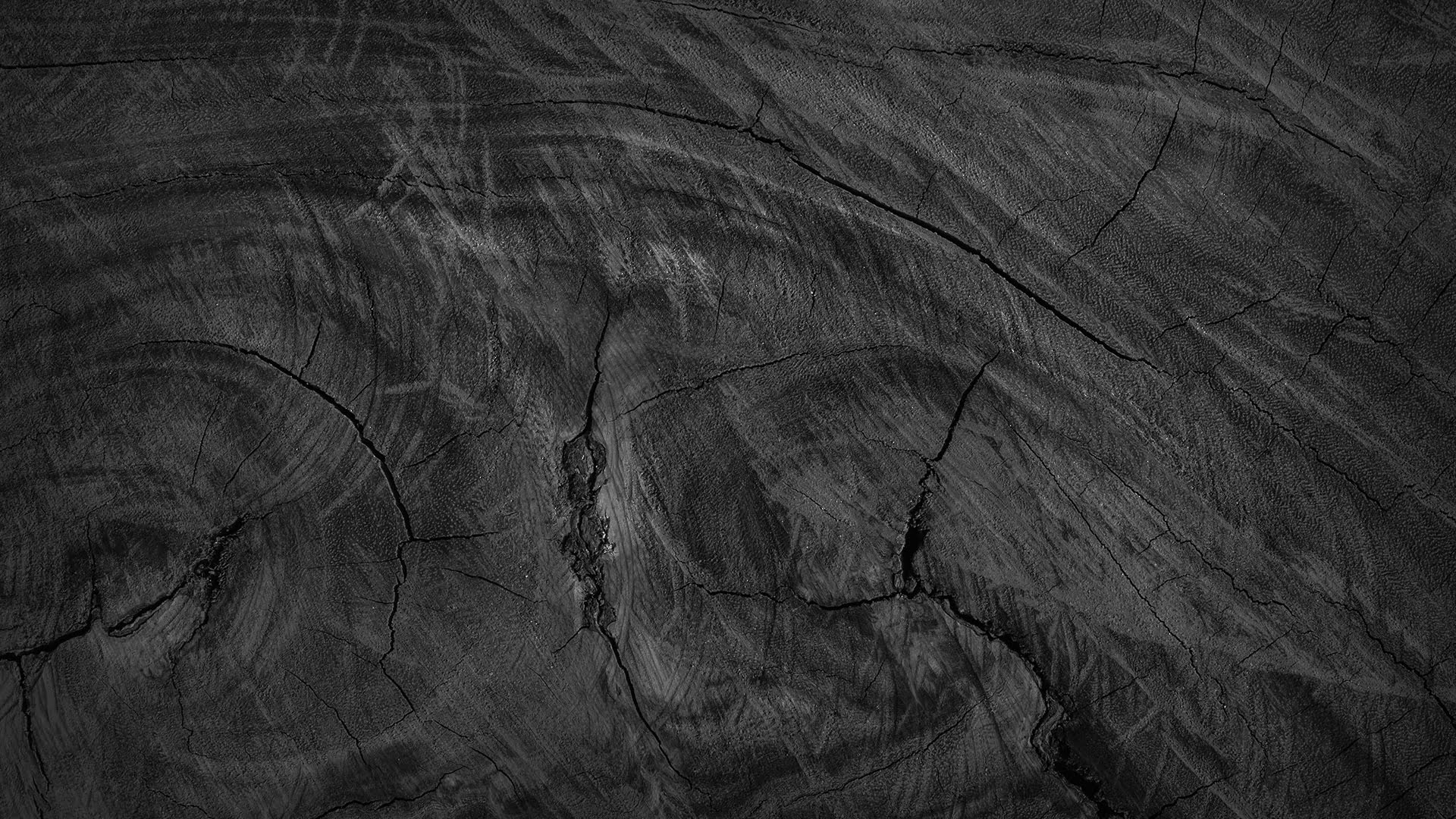 texture03